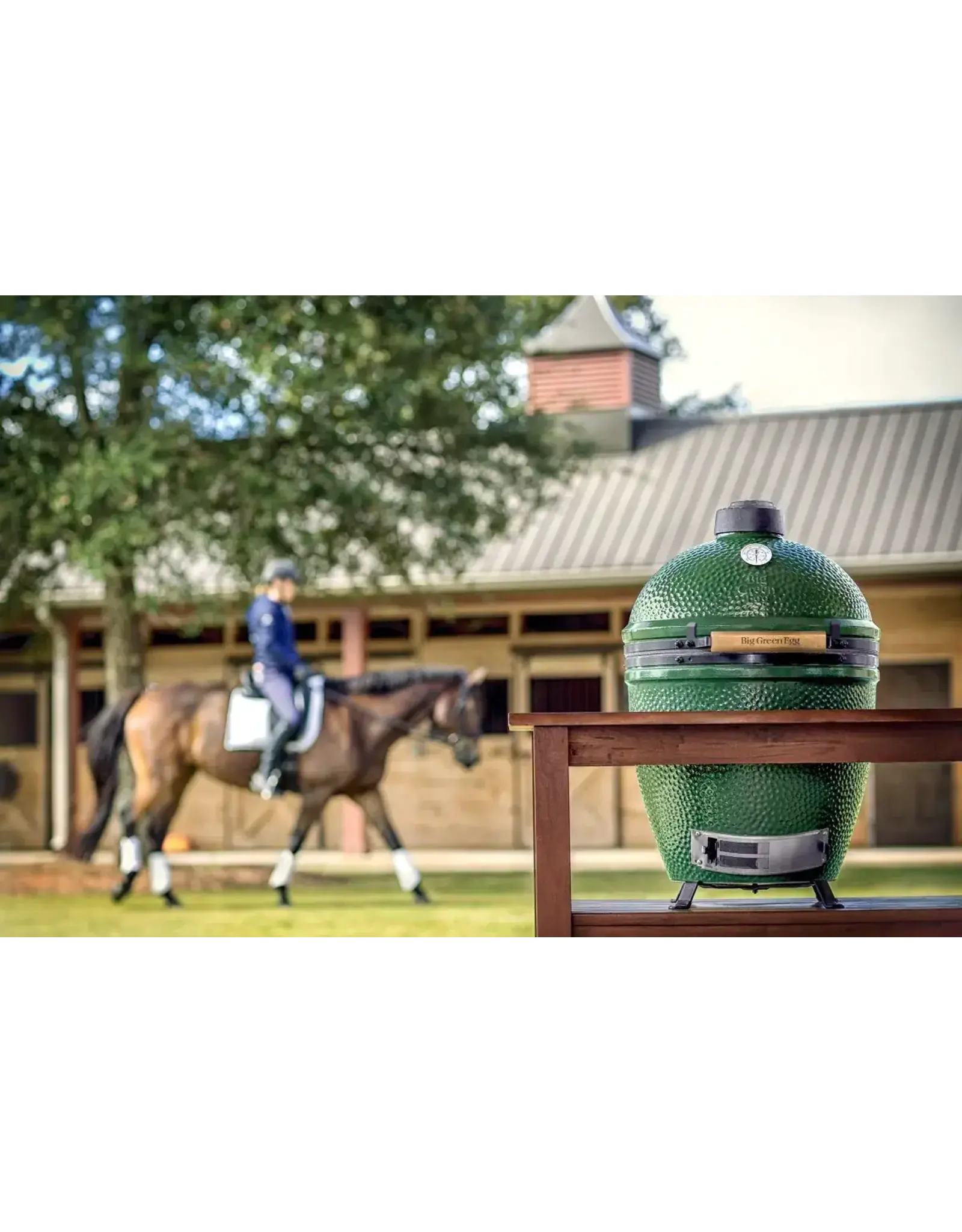 Big Green Egg Big Green Egg Large (L) - 117632