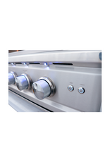 Renaissance Cooking Systems Renaissance 38" Cutlass Pro Grill W/ Rear Burner, Briquette Trays & Blue LEDs - RON38B LP
