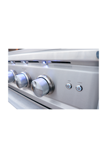 Renaissance Cooking Systems Renaissance 30" Cutlass Pro Grill W/ Rear Burner, Briquette Trays & Blue LEDs - RON30B