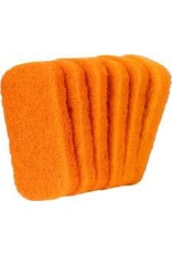 Blackstone Blackstone GRIDDLE BOX OF REPLACEMENT SCRUB PADS - 5063
