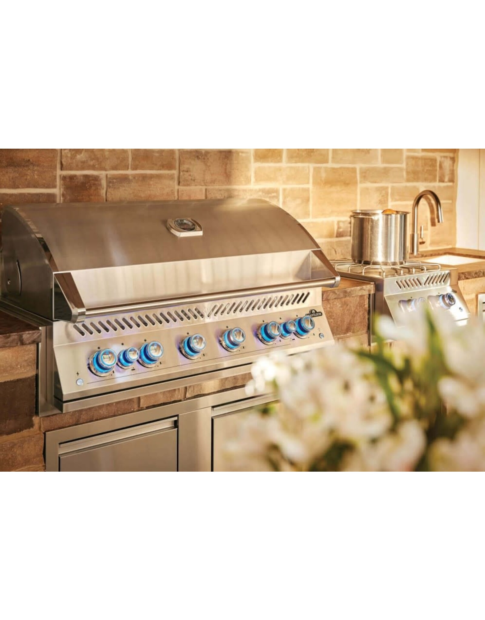 Napoleon Built-In 700 Series 44" with Dual Infrared Rear Burners, Propane, Stainless Steel - BIG44RBPSS-1