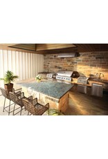 Napoleon Built-In 700 Series 44" with Dual Infrared Rear Burners, Propane, Stainless Steel - BIG44RBPSS-1