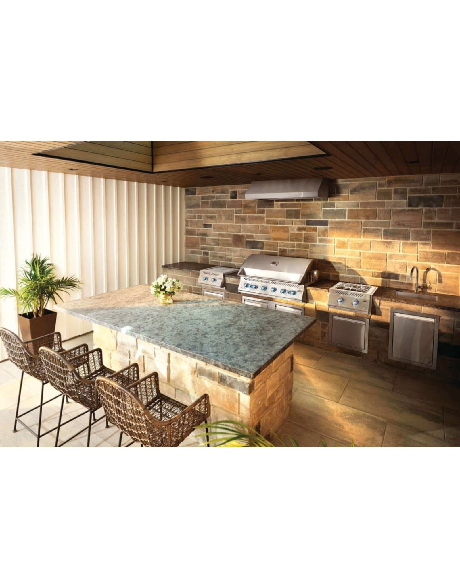 Napoleon Built-In 700 Series 44" with Dual Infrared Rear Burners, Propane, Stainless Steel - BIG44RBPSS-1