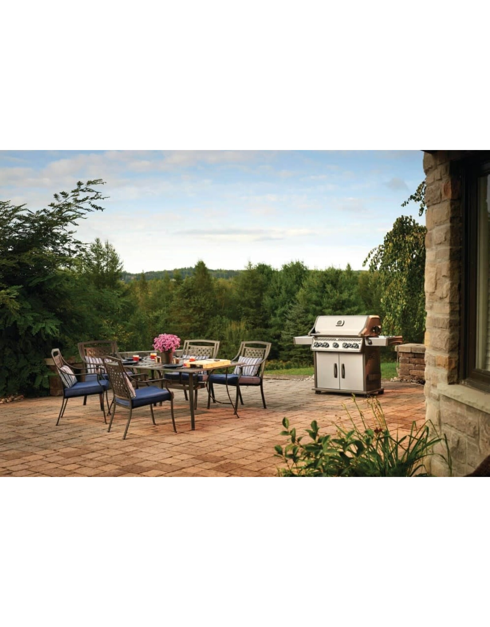 Napoleon Napoleon Rogue SE 625 RSIB Propane Gas Grill with Infrared Rear & Side Burners - Stainless Steel - RSE625RSIBPSS-1