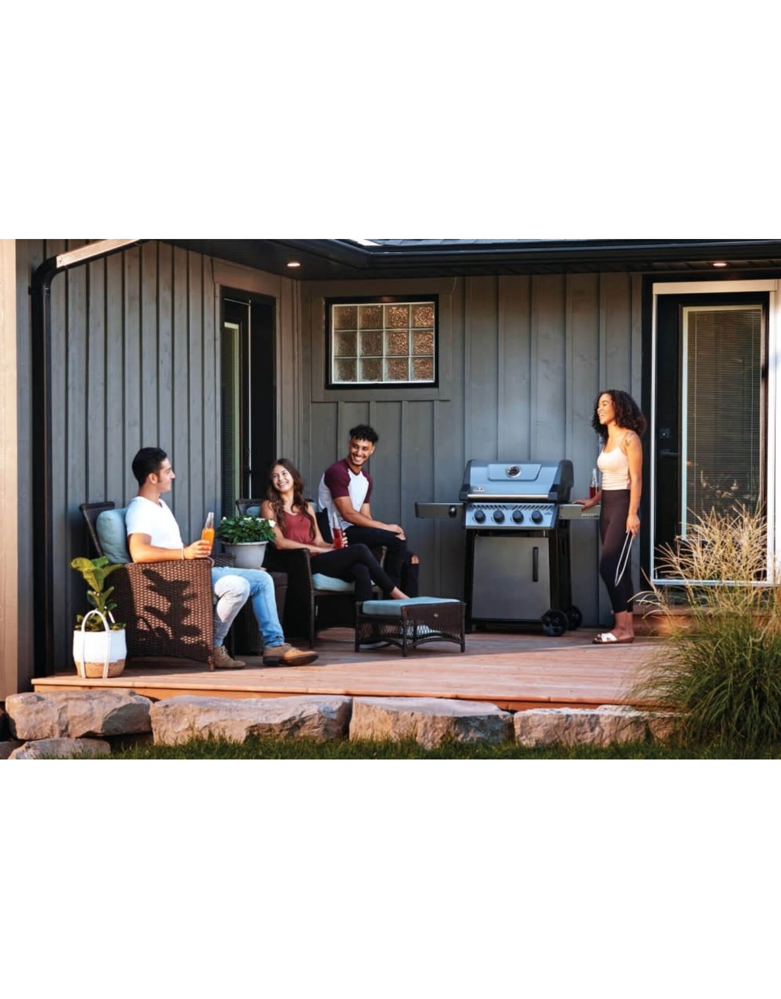 Napoleon Napoleon Freestyle 425 Propane Gas Grill, Graphite Grey - F425DPGT