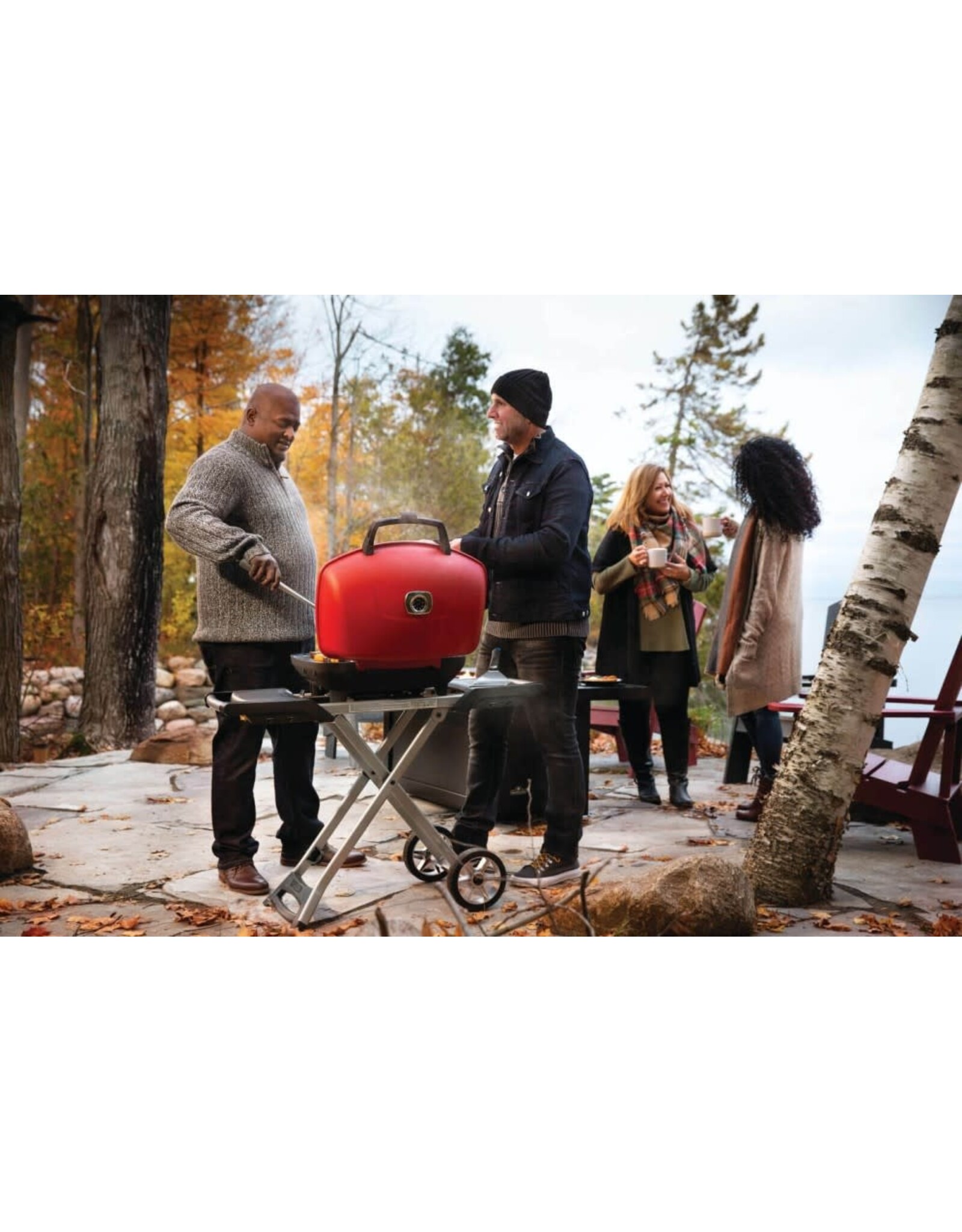 Napoleon Napoleon TravelQ 285X With Scissor Cart And Griddle - TQ285X-RD-1-A