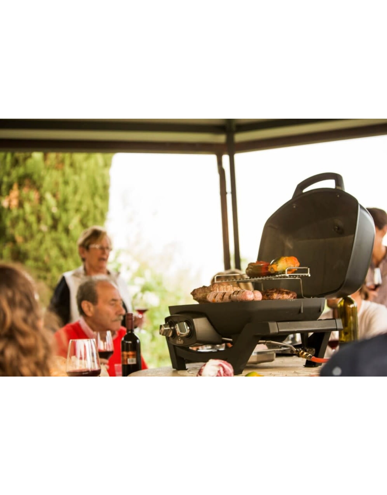 Napoleon Napoleon TravelQ™ PRO285X Portable Propane Gas Grill with Scissor Cart, Black - PRO285X-BK