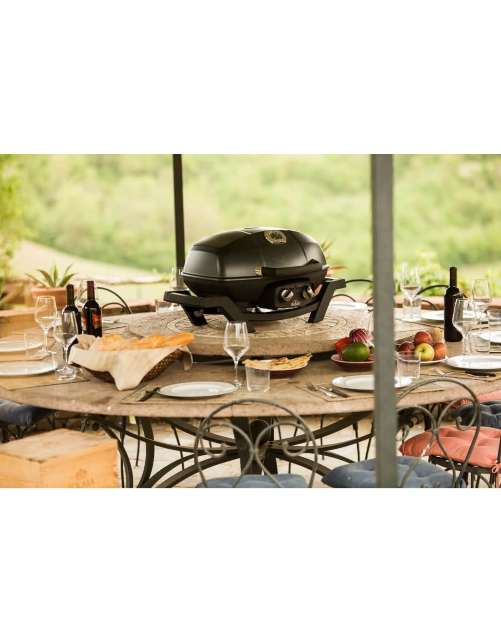 Napoleon Napoleon TravelQ PRO 285 Portable Propane Gas Grill - Black - PRO285-BK