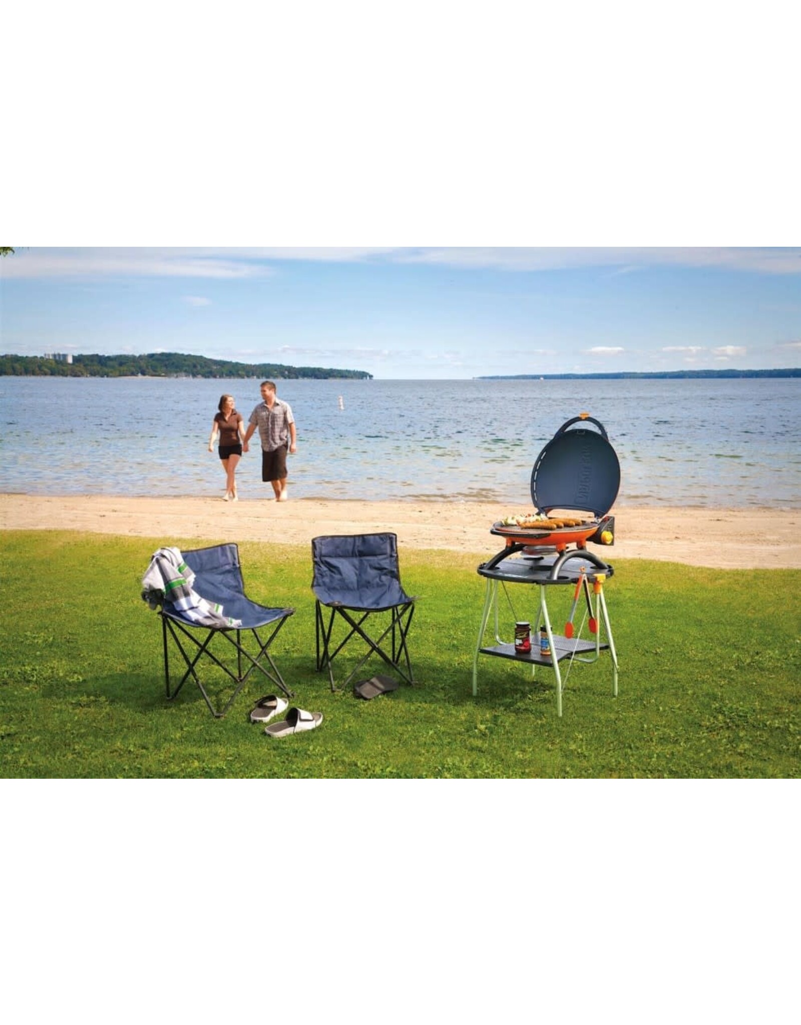 Napoleon Napoleon TQ2225PO TravelQ Stand - TQ2225-STAND