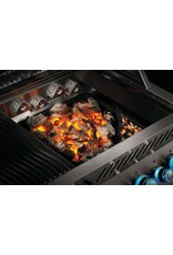 Napoleon Napoleon Cast Iron Charcoal and Smoker Tray - 67732
