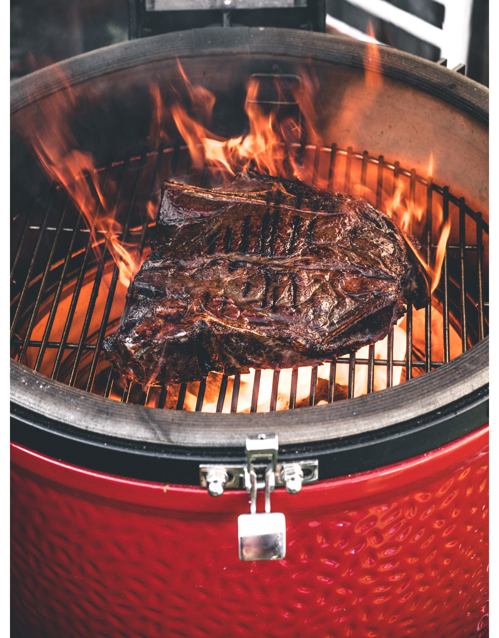 Kamado Joe Kamado Joe Konnected Joe Digital Charcoal Grill and Smoker with Auto-Ignition and Temperature Control - KJ15041123