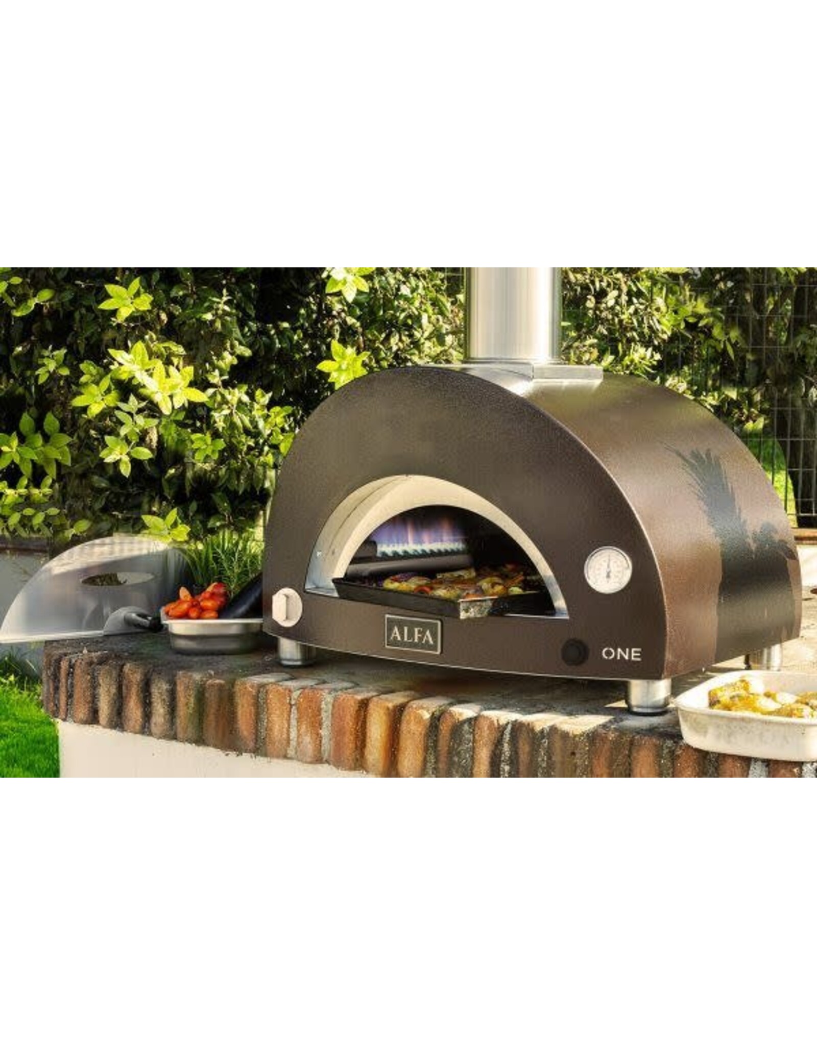 Alfa Pizza Ovens Alfa Moderno 1 Pizze Countertop Propane Gas Pizza Oven Copper -  FXMD-1P-GRAM-U