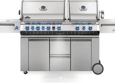 Freestanding Gas Grills