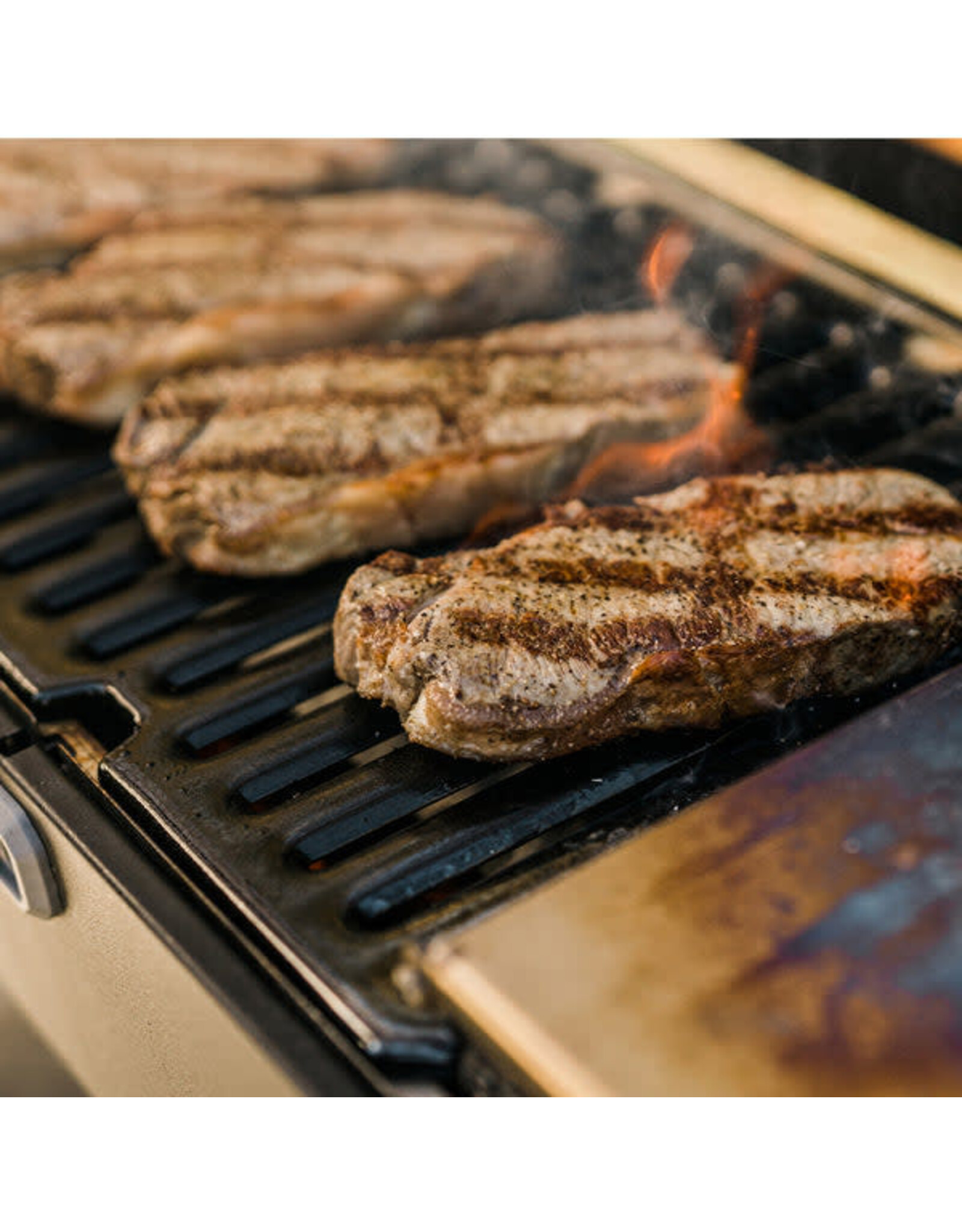 Masterbuilt Masterbuilt Portable Charcoal Grill  - MB20040522