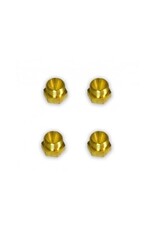 Fire Magic Fire Magic Grills Orifice for Echelon Grills, Set of 4 - 3001-40-4 Fire Magic Fire Magic Grills Orifice for Echelon Grills, Set of 4 - 3001-40-4