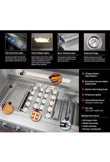 Delta Heat Delta Heat 38" Built-in Grill w Rotisserie, Sear Zone - Propane - DHB038RS-DL