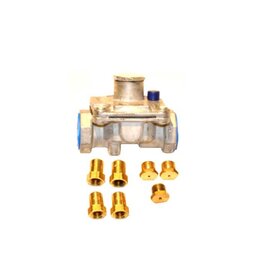 Twin Eagles Twin Eagles Conversion Kit For 54-Inch Grill - Propane to Natural Gas - CKNG-TEBQ54