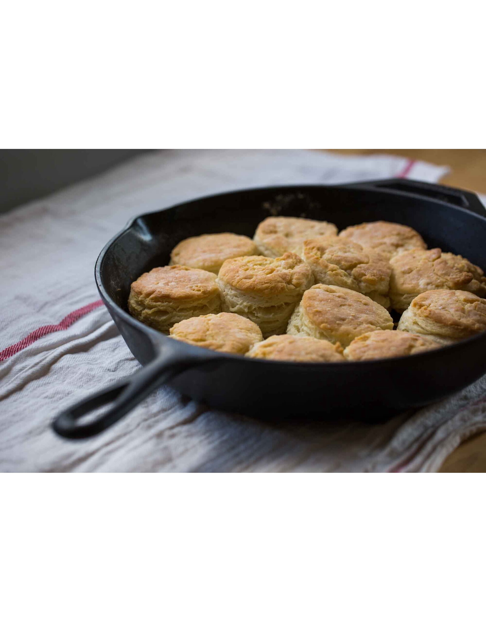 Lodge Lodge Logic 12" Skillet - L10SK3