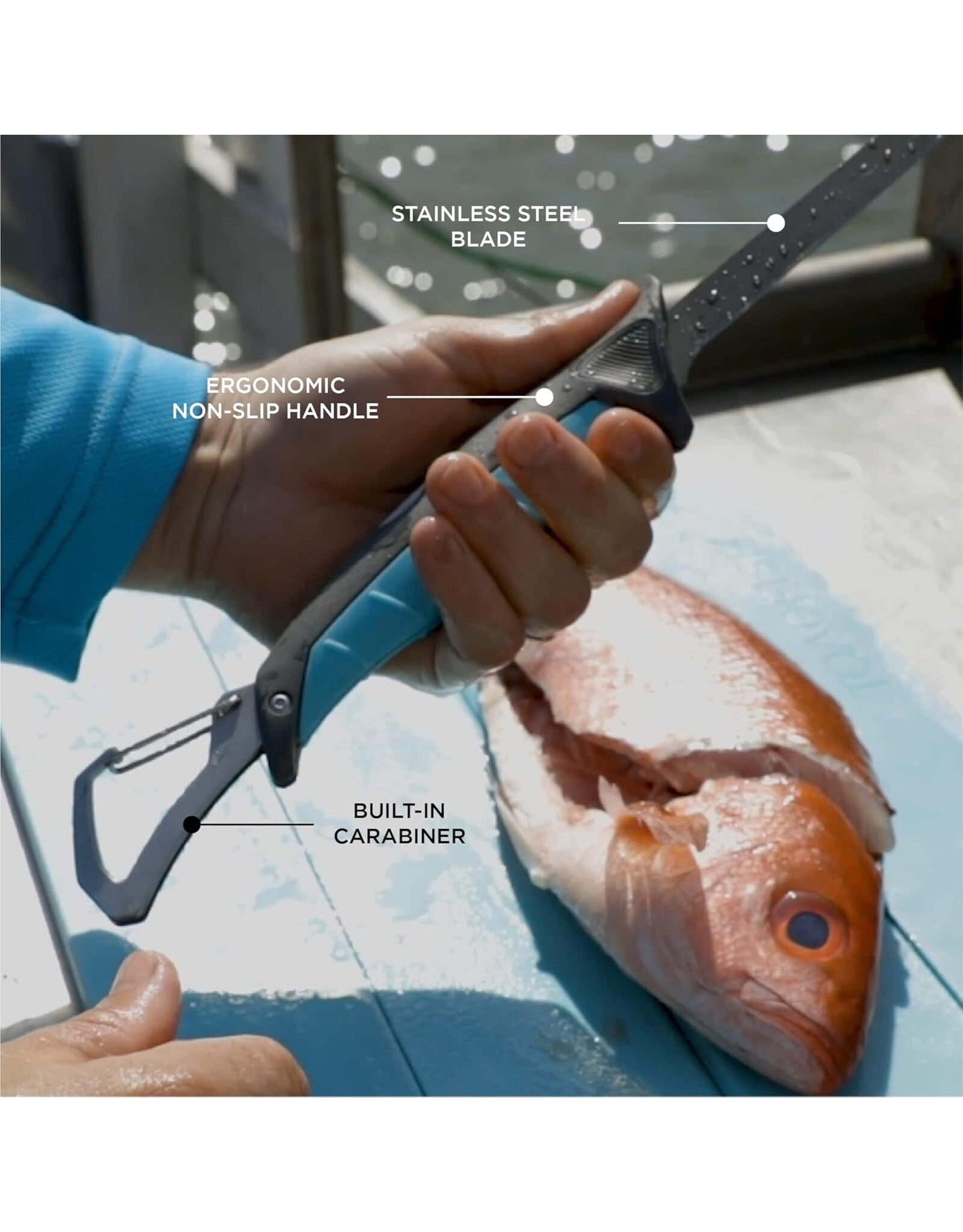 Toadfish Toadfish Folding Fillet Knife with Built In Carabiner