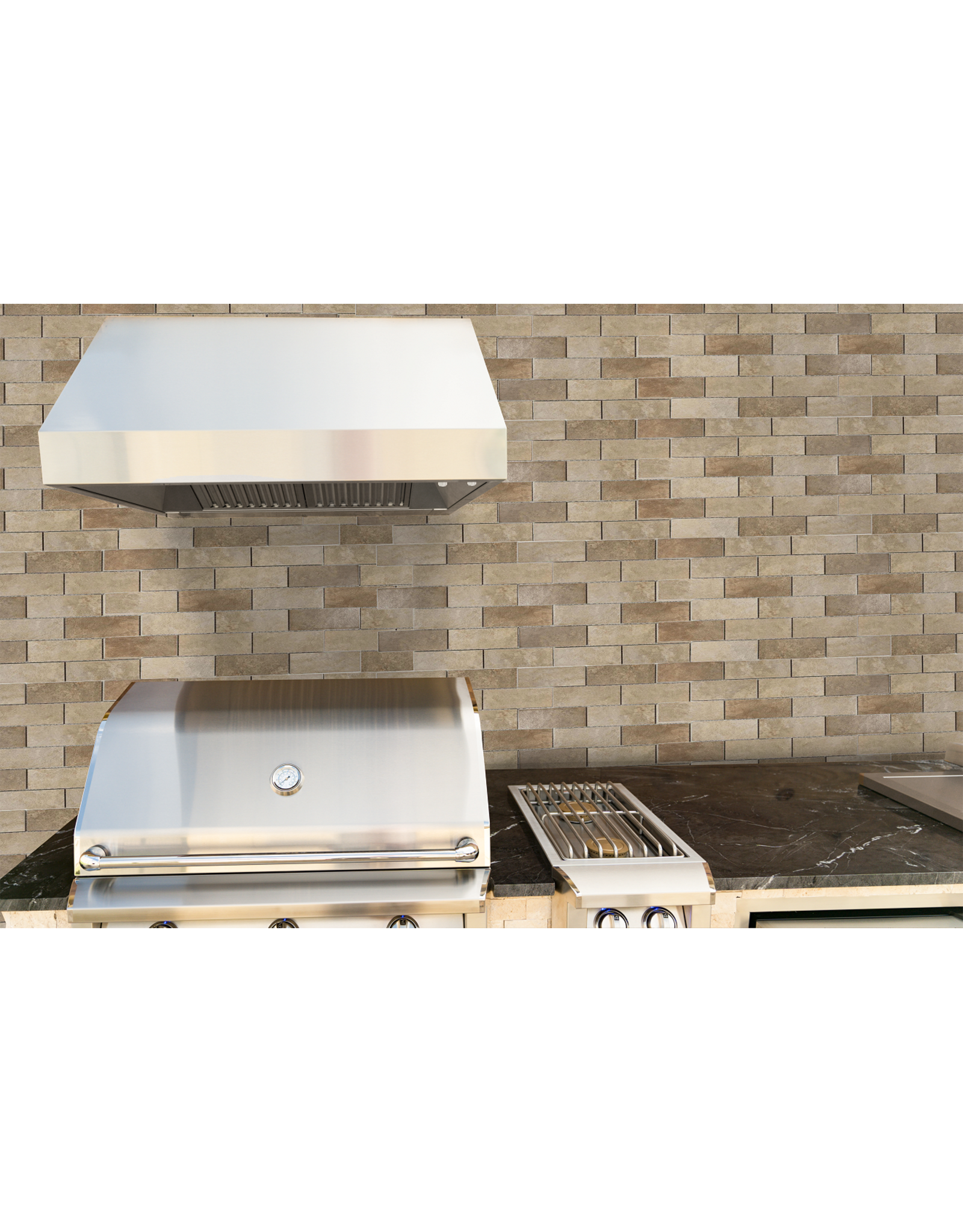 Renaissance Cooking Systems Renaissance 48" Vent Hood - RVH48A