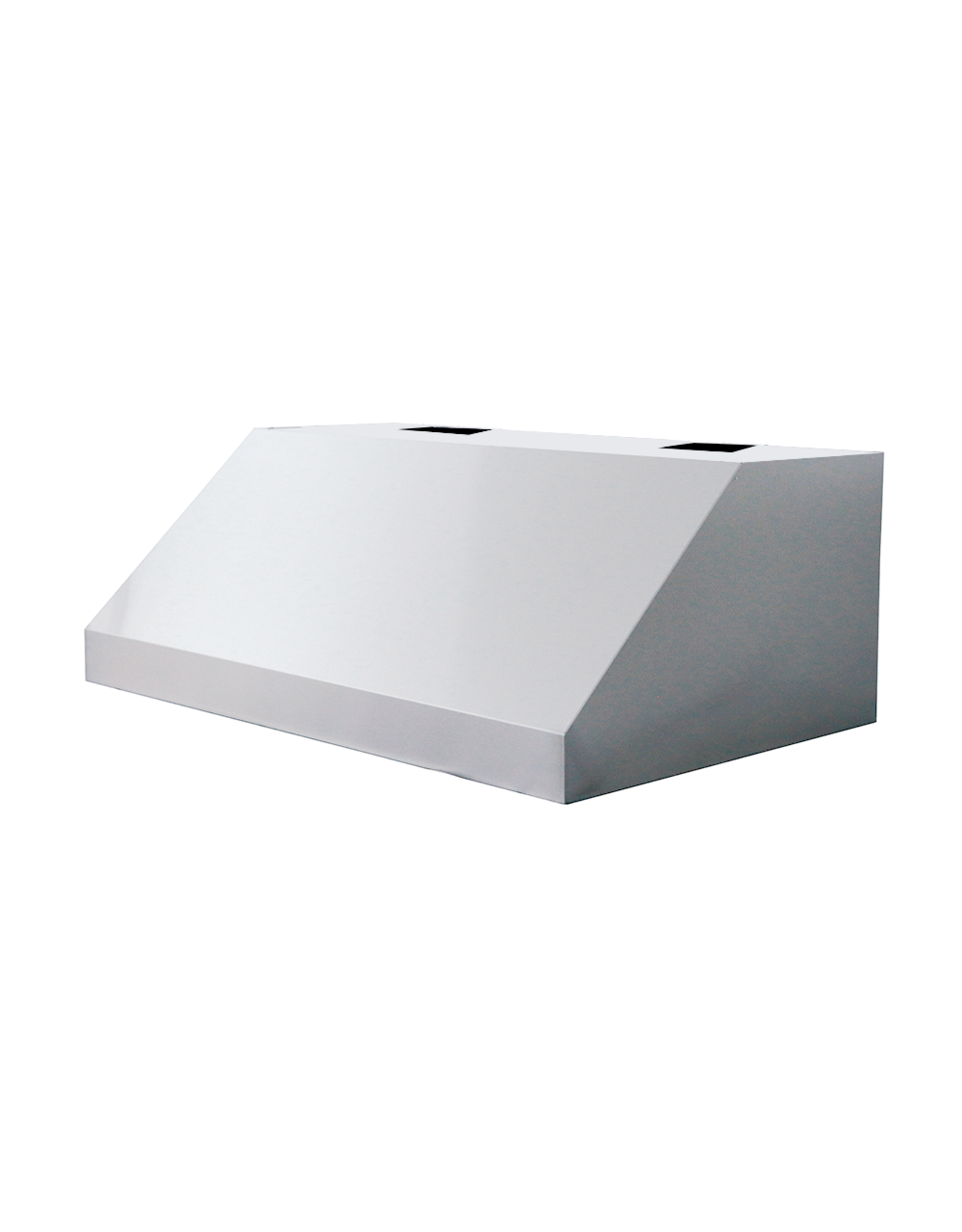 Renaissance Cooking Systems Renaissance 48" Vent Hood - RVH48A