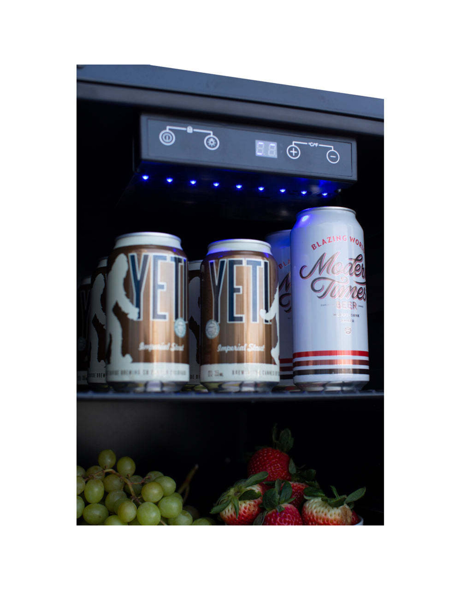 TrueFlame TrueFlame 15" Outdoor Rated Dual Zone Wine Cooler - AMD-RFR-15W