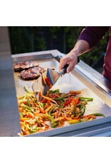 Blaze Outdoor Products Blaze LTE PRO 40-Inch Natural Gas Griddle - BLZ-GRIDDLE40-NG