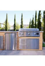 Blaze Outdoor Products Blaze LTE PRO 40-Inch Natural Gas Griddle - BLZ-GRIDDLE40-NG