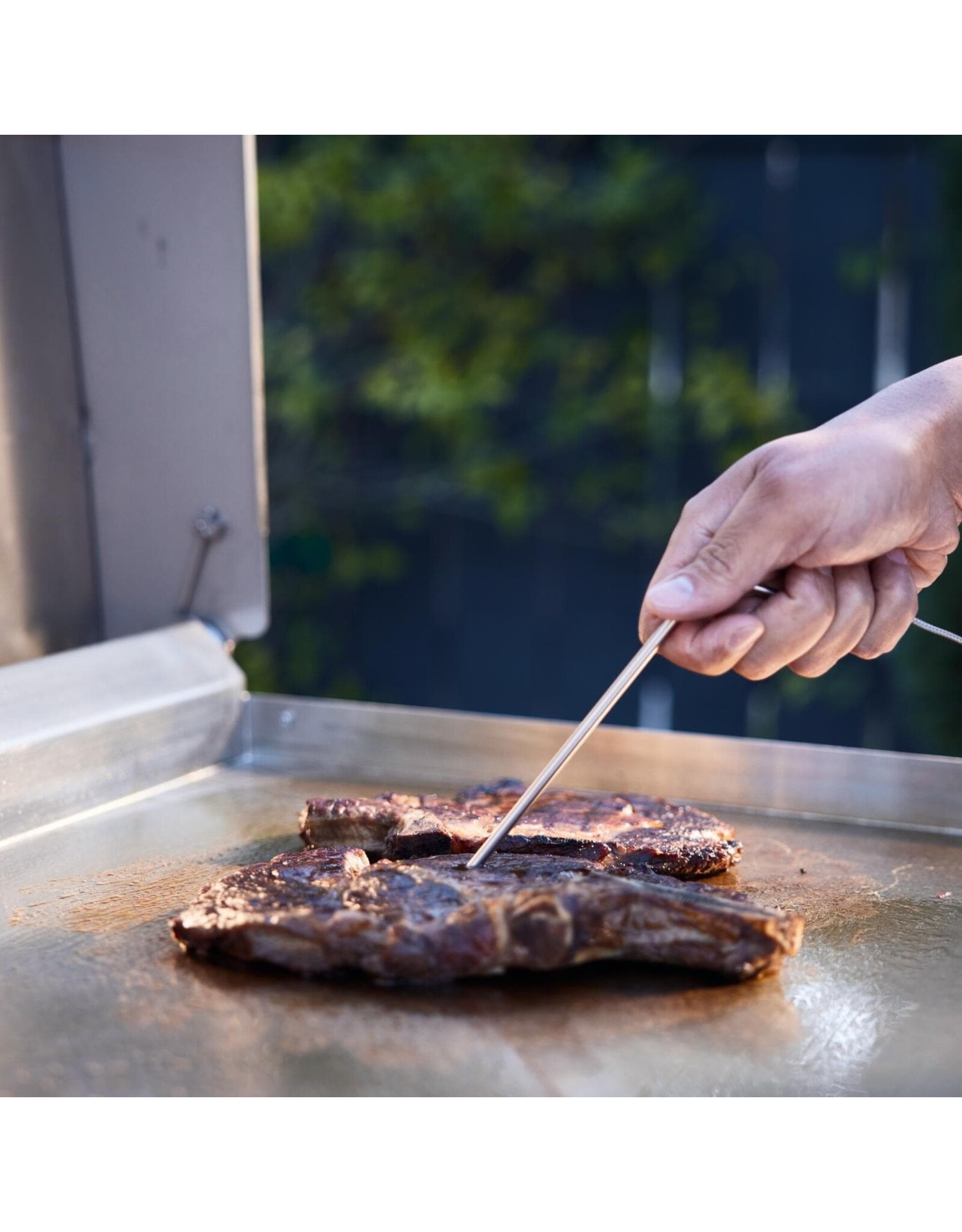 Blaze Outdoor Products Blaze LTE PRO 40-Inch Propane Gas Griddle - BLZ-GRIDDLE40-LP