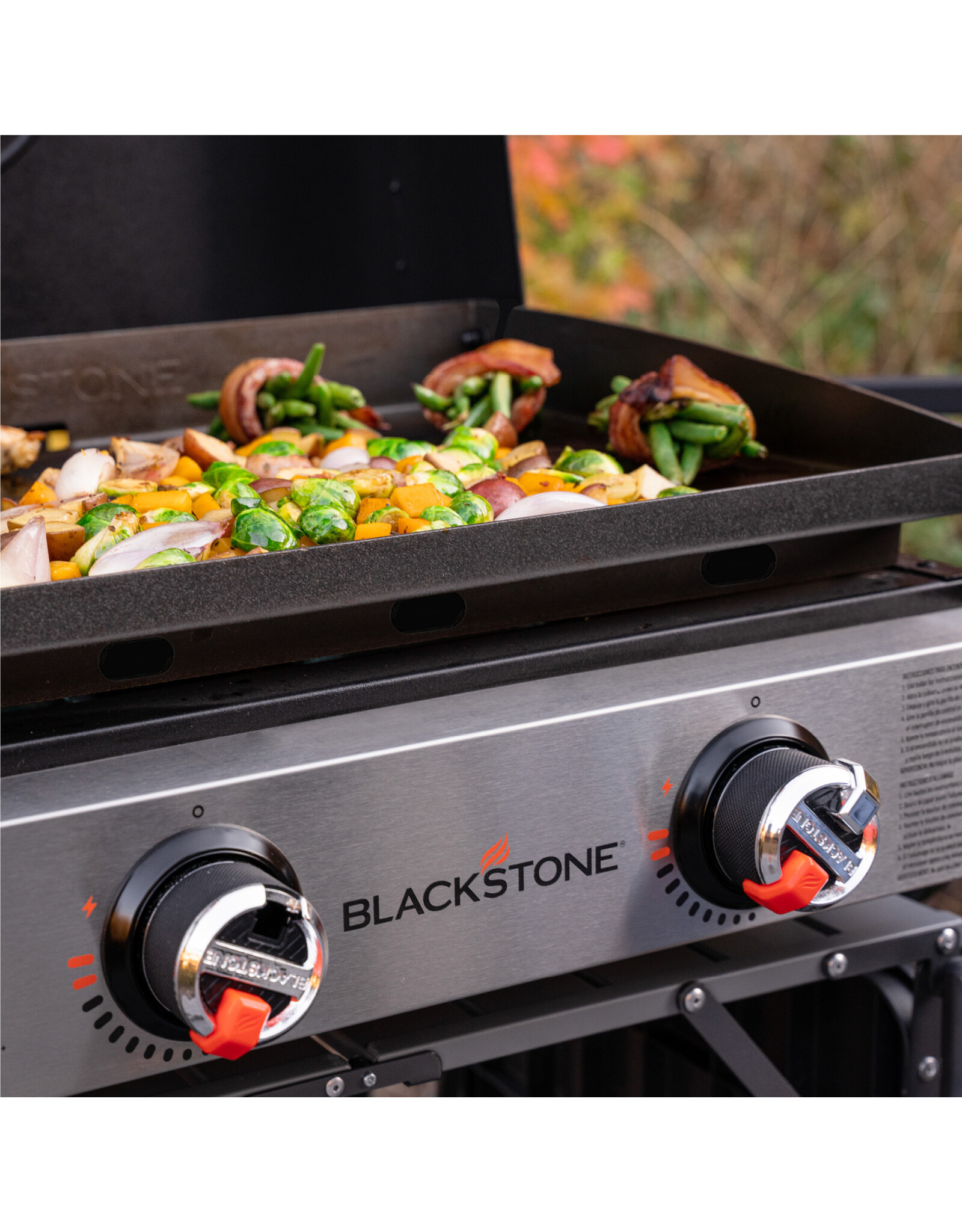 Blackstone Blackstone 22in Tabletop Griddle with Hood - 2205