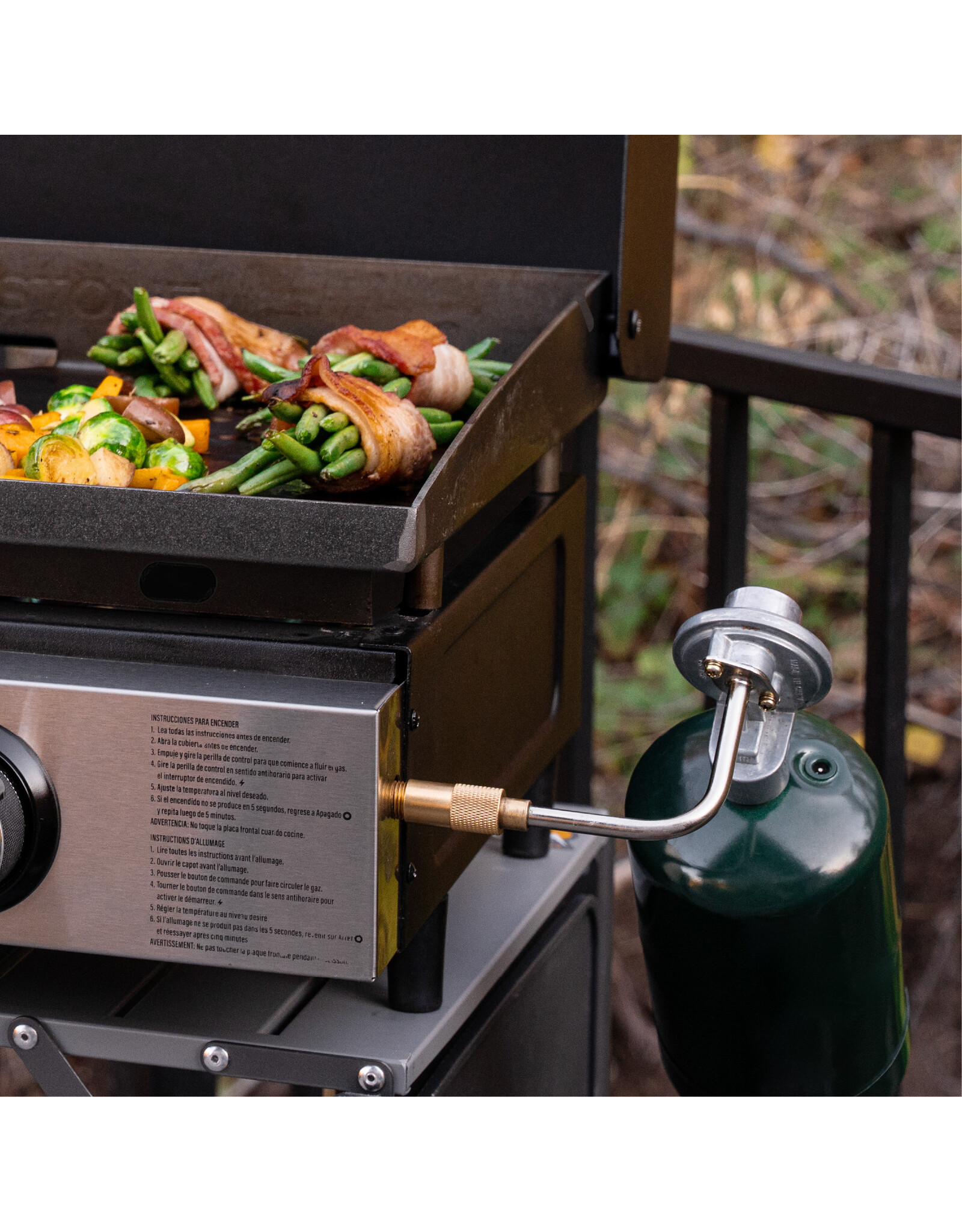 Blackstone Blackstone 22in Tabletop Griddle with Hood - 2205