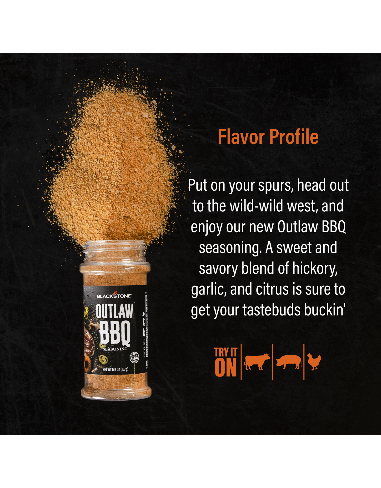 Blackstone Blackstone Outlaw BBQ Seasoning 5.9oz - 4160