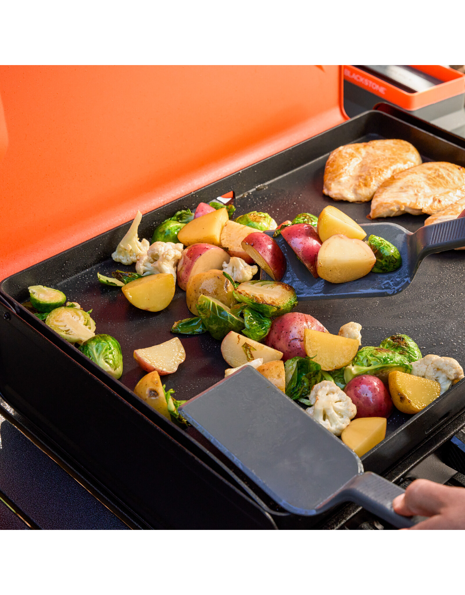 Blackstone Blackstone OTG 20in Camping Griddle - 2363
