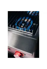 TrueFlame TrueFlame Double Side Burner - Natural Gas - TFSB2