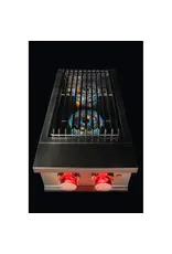 TrueFlame TrueFlame Double Side Burner - Natural Gas - TFSB2