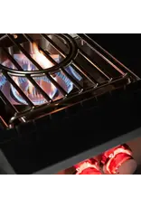 TrueFlame TrueFlame Power Burner - Liquid Propane - TFPBL
