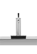 TrueFlame TrueFlame 24" Deluxe Outdoor Rated Kegerator - No Tap (6.6c) - AMD-RFR-24DK