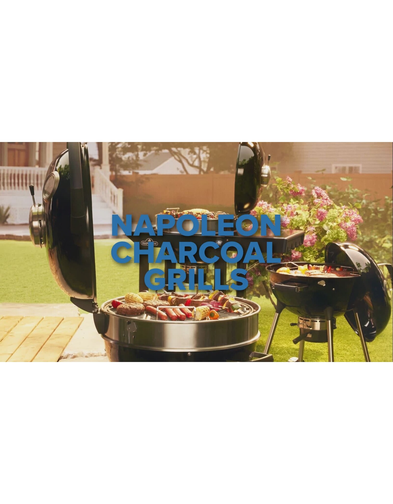 Napoleon Napoleon PRO22 Charcoal Kettle Grill, Black with Cart - PRO22K-CART-3