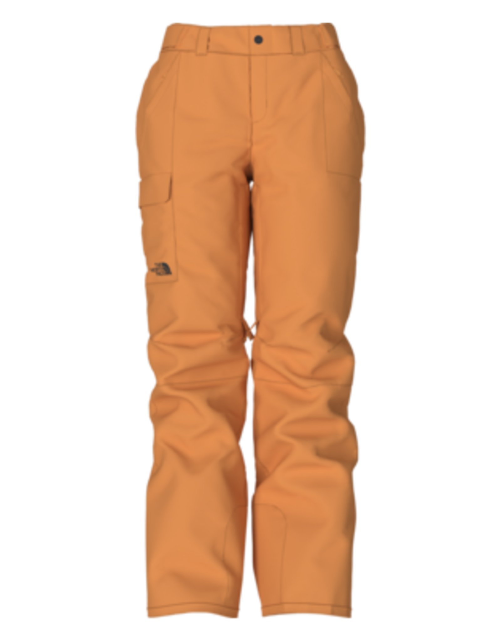The North Face F2022 PANTS TNF FREEDOM INSULATED W TOPAZ M REGULAR