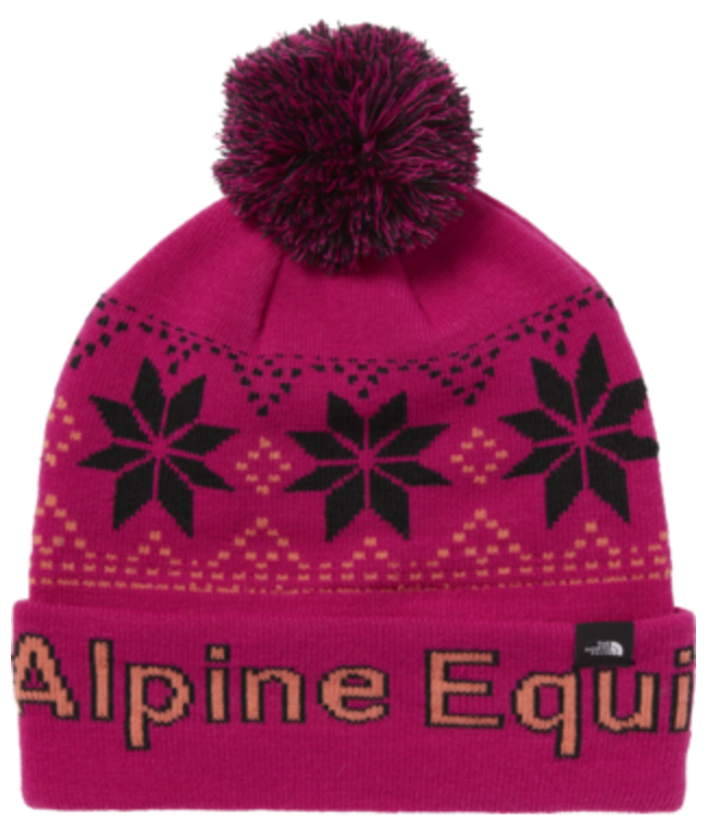 TOQUE THE NORTH FACE KIDS SKI