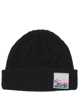 TOQUE THE NORTH FACE SALTY DOG BEANIE