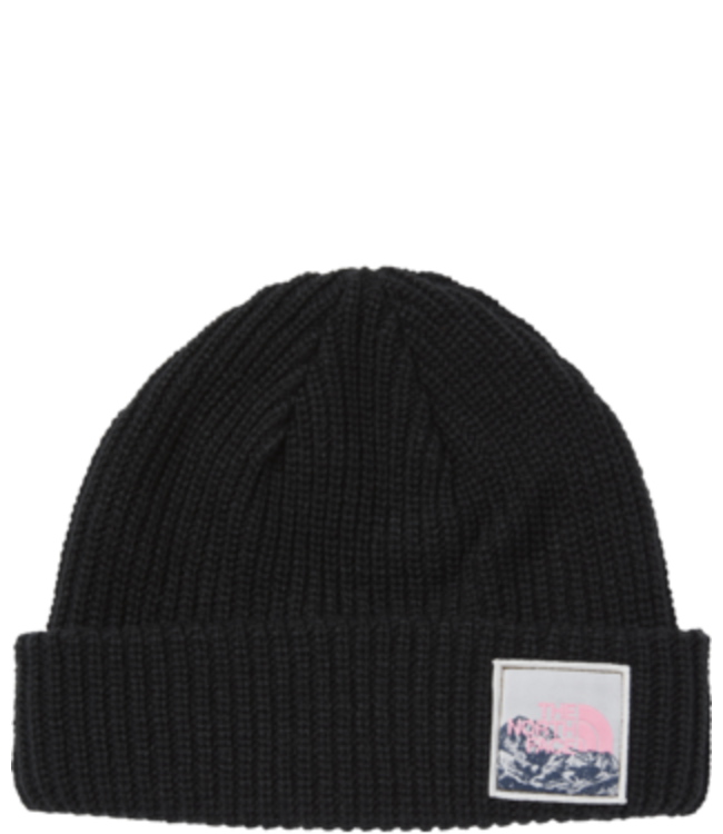TOQUE THE NORTH FACE SALTY DOG BEANIE