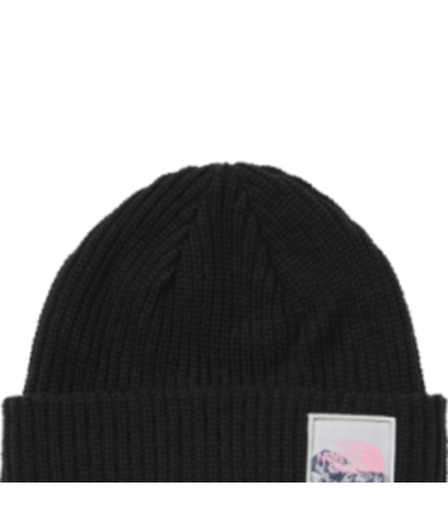 TOQUE THE NORTH FACE SALTY DOG BEANIE