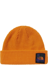 The North Face F2022 TOQUE THE NORTH FACE SALTY DOG BEANIE