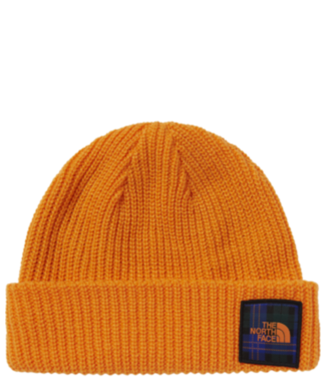 TOQUE THE NORTH FACE SALTY DOG BEANIE