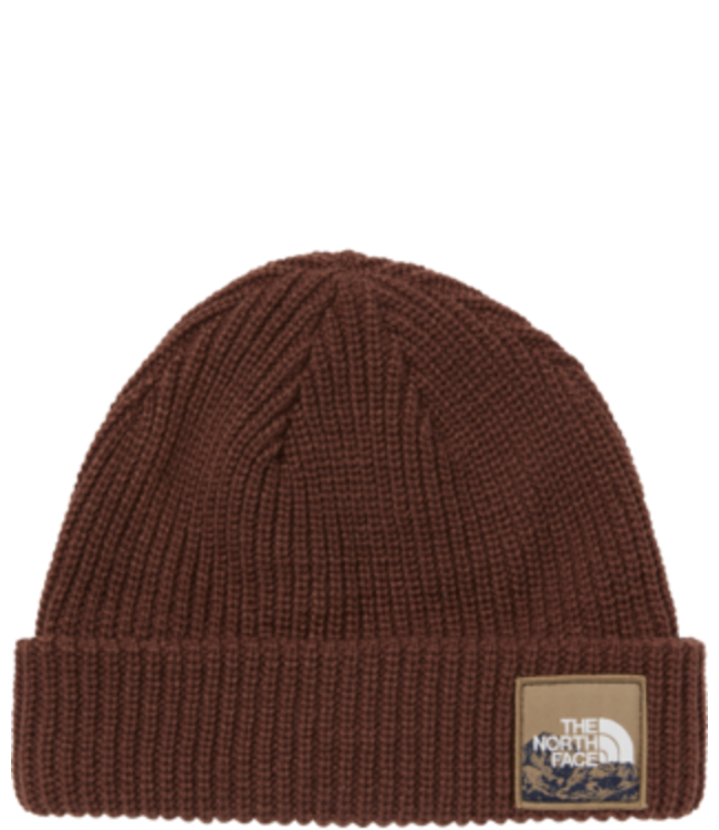 TOQUE THE NORTH FACE SALTY DOG BEANIE