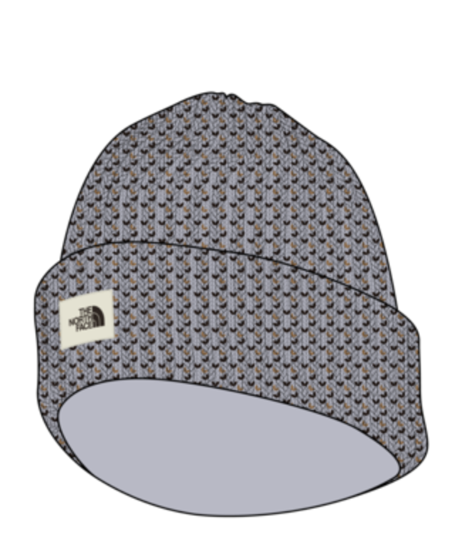 BEANIE THE NORTH FACE SALTY BAE LINED