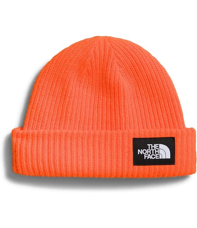 The North Face BEANIE NORTH FACE SALTY LINED