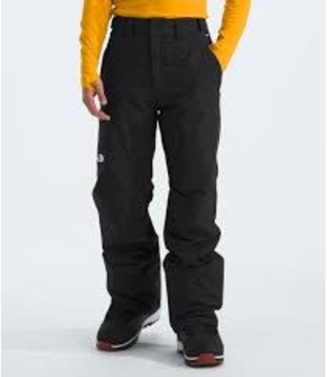 The North Face SNOW PANT TNF FREEDOM INSULATED MENS