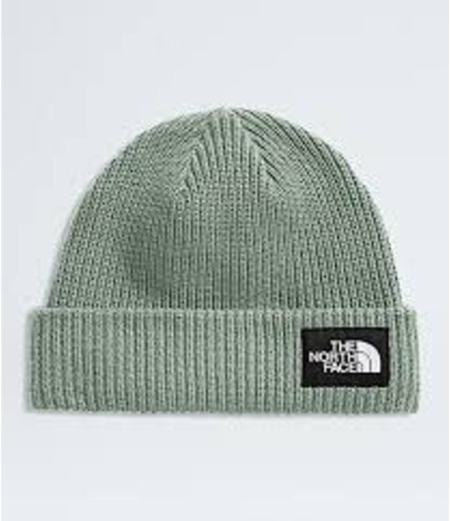 The North Face BEANIE NORTH FACE SALTY LINED